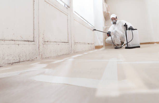24/7 Emergency Attic Mold Remediation experts in Medford, MA